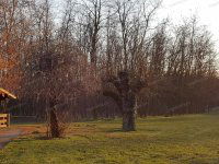 Eladó ipari ingatlan, Kecskeméten 230 M Ft / költözzbe.hu