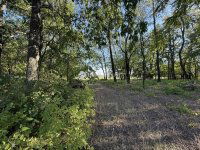 Eladó mezogazdasagi ingatlan, Orgoványon 79.9 M Ft, 3 szobás