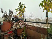 Eladó téglalakás, IX. kerületben 68.9 M Ft, 2 szobás