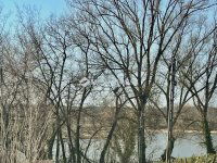 Eladó családi ház, Őrbottyánban, Rozmaring utcában 94.9 M Ft