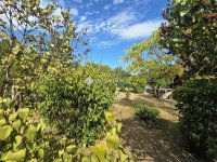 Eladó telek, Érden 49 M Ft / költözzbe.hu