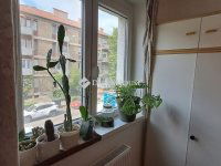 Eladó téglalakás, Pécsett 51.5 M Ft, 2 szobás