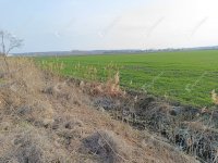 Eladó telek, Sopronban 22 M Ft / költözzbe.hu