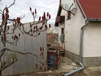 Eladó nyaraló, Martfűn 24.5 M Ft, 1 szobás