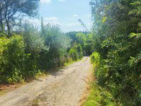 Eladó telek, Pátyon 25 M Ft / költözzbe.hu