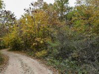 Eladó telek, Pécselyen 24.99 M Ft / költözzbe.hu