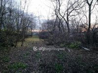 Eladó telek, Albertirsán 6.5 M Ft / költözzbe.hu