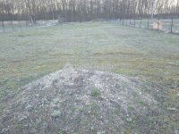 Eladó telek, Csemőn 8.5 M Ft / költözzbe.hu