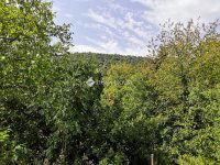 Eladó telek, III. kerületben 45 M Ft / költözzbe.hu