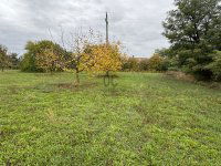 Eladó telek, Nyíregyházán 25 M Ft / költözzbe.hu