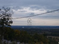 Eladó telek, Szentendrén 96 M Ft / költözzbe.hu