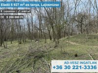 Eladó mezogazdasagi ingatlan, Lajosmizsén 5.2 M Ft