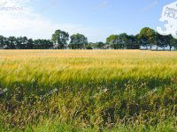 Eladó telek, Kiskunfélegyházán 4.9 M Ft / költözzbe.hu