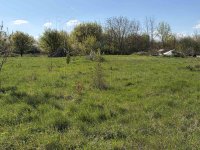 Eladó telek, Berhidán 28 M Ft / költözzbe.hu