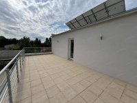 Kiadó családi ház, albérlet, Kecskeméten 800 E Ft / hó