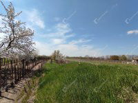 Eladó telek, Kisbéren 7.9 M Ft / költözzbe.hu