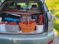 Kiadó telek, XVII. kerületben 140 E Ft / hó