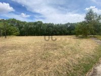Eladó mezogazdasagi ingatlan, Biharnagybajomban 79.99 M Ft