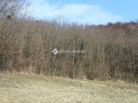 Eladó mezogazdasagi ingatlan, Alsónemesapátiban 55 M Ft