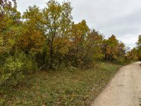 Eladó telek, Pécselyen 19.99 M Ft / költözzbe.hu