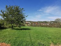 Eladó telek, Budakeszin 90 M Ft / költözzbe.hu