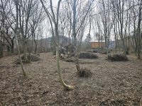 Eladó telek, Dunabogdányban 24.9 M Ft / költözzbe.hu