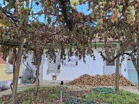 Eladó családi ház, Tápiószentmártonon 48 M Ft, 4 szobás