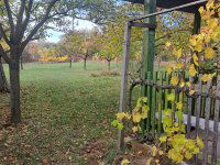 Eladó telek, Veszprémben 10 M Ft / költözzbe.hu