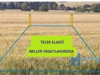 Eladó mezogazdasagi ingatlan, Debrecenben 85 M Ft