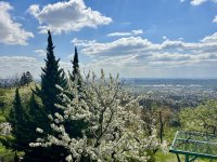 Eladó telek, Budaörsön 28 M Ft / költözzbe.hu