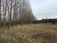 Eladó mezogazdasagi ingatlan, Tégláson 29.9 M Ft