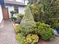 Eladó ikerház, Gödöllőn 147.5 M Ft, 4 szobás