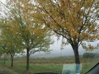 Eladó mezogazdasagi ingatlan, Felsőtárkányban 20 M Ft