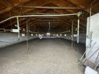 Eladó mezogazdasagi ingatlan, Domaszéken 160 M Ft