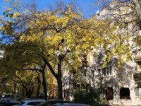 Eladó panellakás, XIX. kerületben 83.9 M Ft, 3+1 szobás