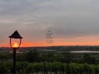 Eladó telek, Simontornyán 19.99 M Ft, 4 szobás