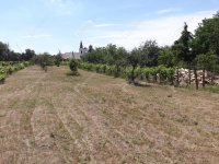 Eladó telek, Homokbödögén 4.5 M Ft / költözzbe.hu