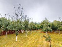 Eladó családi ház, Alsóvadászon 38.5 M Ft, 4 szobás