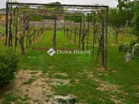 Eladó telek, Hosszúhetényen 3.5 M Ft / költözzbe.hu