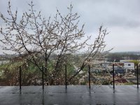 Eladó családi ház, Ajkán 49.9 M Ft, 1 szobás