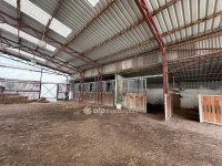 Eladó családi ház, Majosházán 109 M Ft, 3 szobás