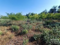 Eladó mezogazdasagi ingatlan, Sándorfalván 15.99 M Ft