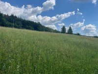 Eladó telek, Szilvásváradon 12.6 M Ft / költözzbe.hu