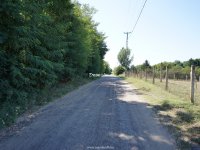 Eladó telek, Nyíregyházán 3.5 M Ft / költözzbe.hu