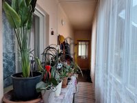 Eladó családi ház, Pilisen 29.8 M Ft, 3 szobás