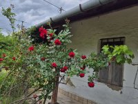 Eladó családi ház, Poroszlón 15 M Ft, 2 szobás