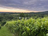 Eladó telek, Kőszegdoroszlón 13.99 M Ft / költözzbe.hu