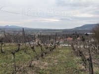 Eladó mezogazdasagi ingatlan, Lesencetomajon 105 M Ft, 1 szobás