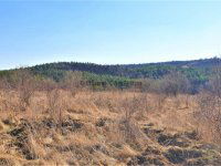 Eladó telek, Tinnyén 49.99 M Ft / költözzbe.hu