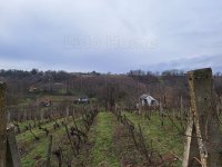 Eladó mezogazdasagi ingatlan, Tamásiban 3.5 M Ft, 1+1 szobás